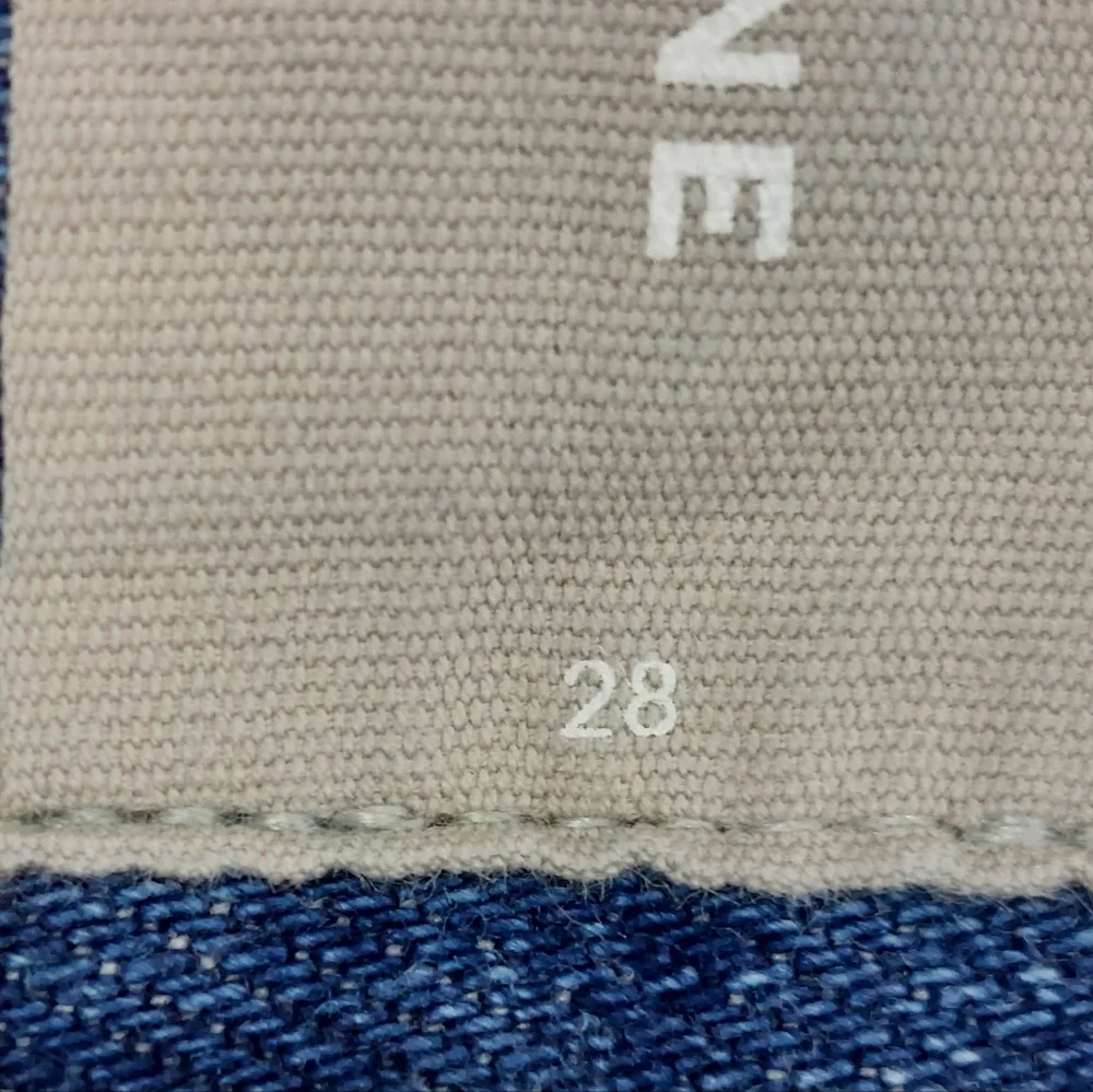 Everlane Checky Blue Button Fly Frayed Shorts